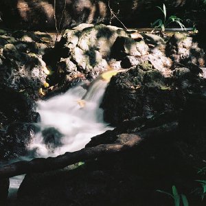 /Albums/10/43581 R1 24 25 025